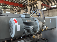 MÁY CHẤN THỦY LỰC 3200MM 250T IR-3200/250TH IRONWOOD 9866